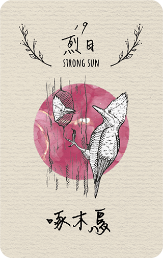 烈日之月,Strong Sun Moon,藥輪占卜